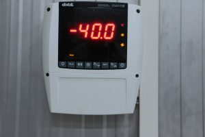 Freezer Room