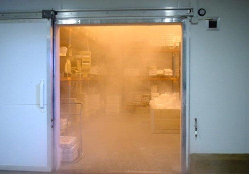 Freezer Room
