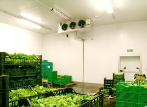 Cold Storage for Preservation