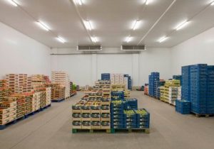 Cold warehouse for Distribution